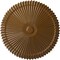 Ekena Millwork Shakuras Ceiling Medallion (Fits Canopies up to 5"), Hand-Painted Smokey Topaz, 24"OD x 3"P CM24SHSTF - alternate 1